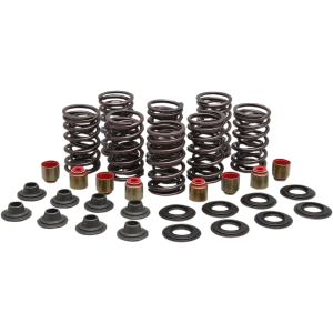 KIBBLEWHITE Valve Spring Kit
