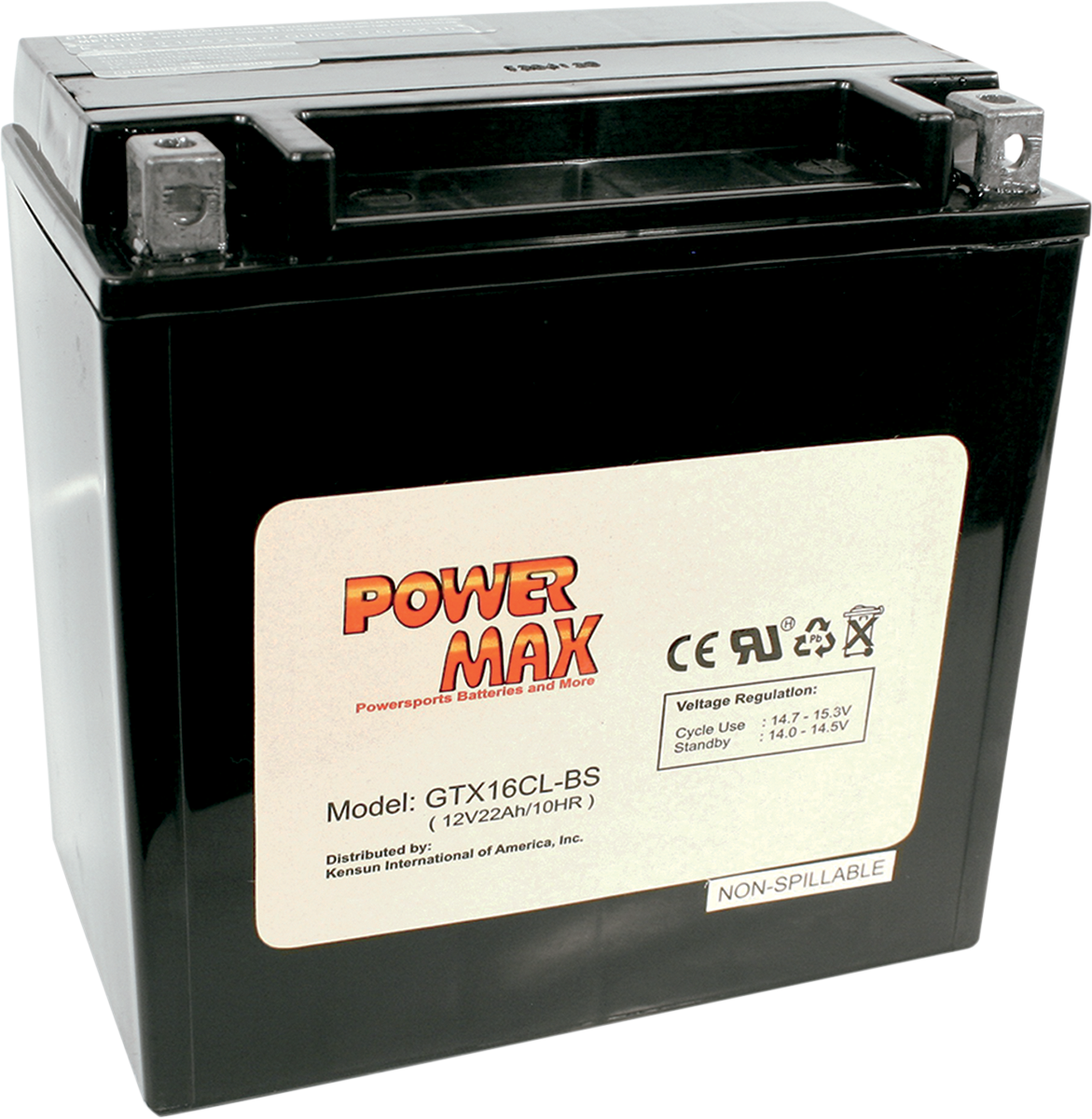 POWER MAX Maintenance-Free Battery