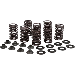 KIBBLEWHITE Valve Spring Kit