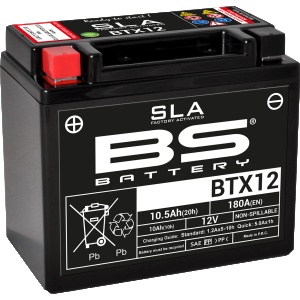 BS BATTERY SLA Factory- Activated AGM Maintenance-Free Battery